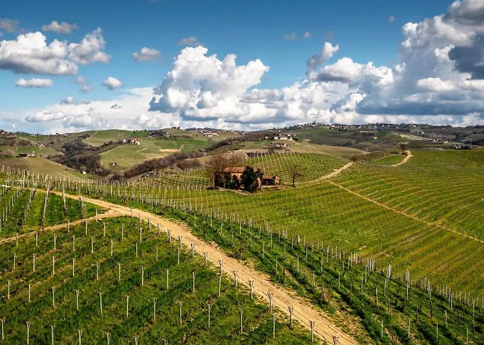 Lejlighed Casa Musotta - Dimora Nelle Langhe Alba (Piedmont)