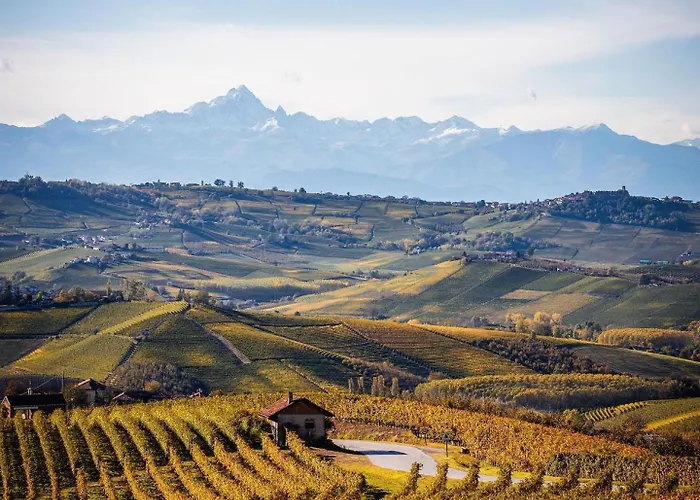 Casa Musotta - Dimora Nelle Langhe